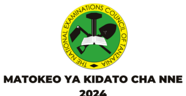 NECTA Matokeo ya Kidato cha Nne 2024/2025 CSEE Form Four Results