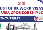 List of UK Work Visas Available for International Job Seekers to Apply for in 2025