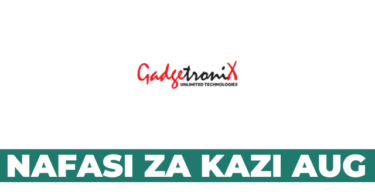Gadgetronix Vacancies August 2025