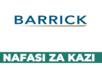 Occupational Health and Safety Manager Vacancy August 2025